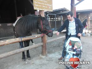 jacek2232 jacek2232