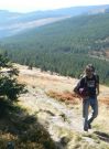 W Karkonoszach....