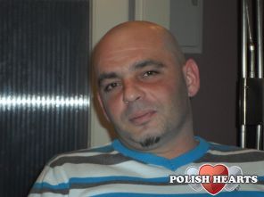 pittbullek pittbullek
