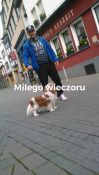 Sebaba