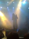MY DYING BRIDE,forum