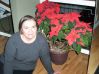 With Poinsettia, flower of the Christmas