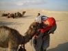 Sahara