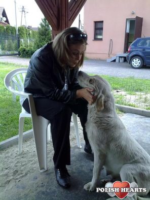 marzena20077
