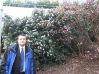 tak kwitną magnolie w Paryżu