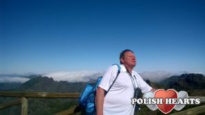 andy799