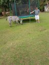 Kenia 