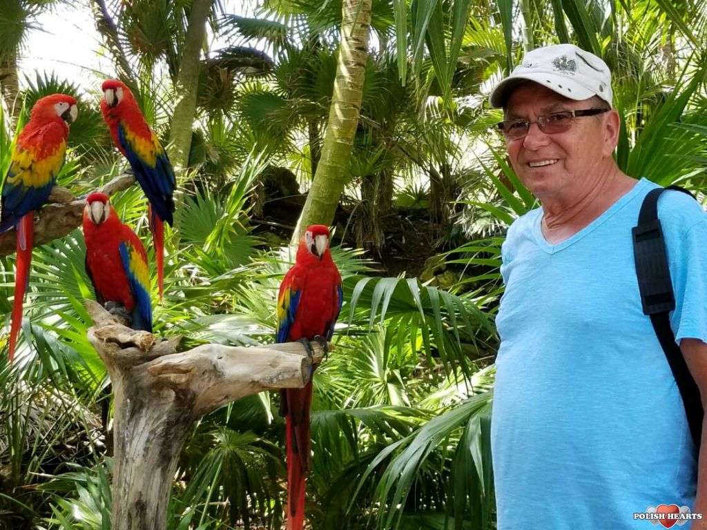 Polish hearts opinie Polish hearts opinie