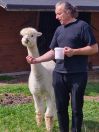 Chaman