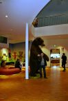 Steiff Museum